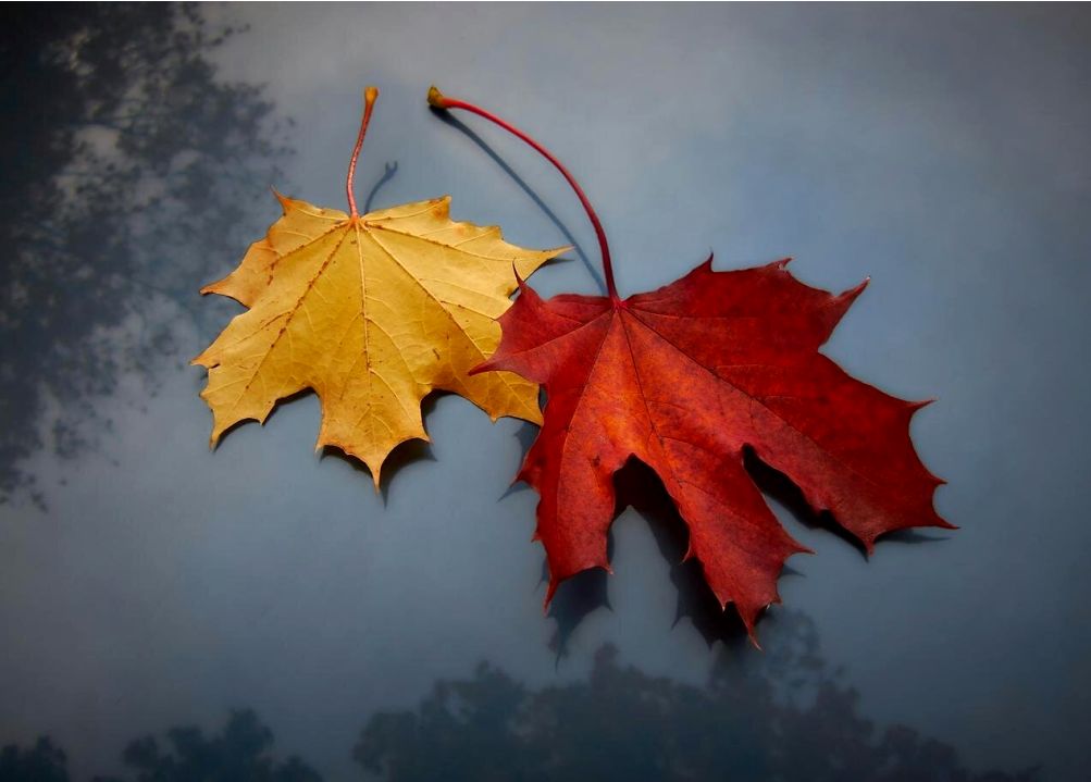 Banyo depolama çözümleri